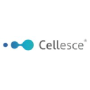 Cellesce Ltd