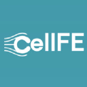 CellFE
