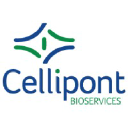 Cellipont Bioservices
