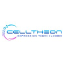 Celltheon Corporation