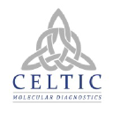 celticdiagnostics.com