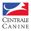SOC CENTRALE CANINE AMELIOR RACES CHIENS