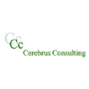 cerebrusconsulting.com