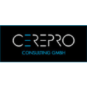 cerepro-consulting.com