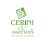Cerini And Associates, logo