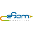 cesam-consulting.com