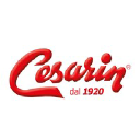 cesarin.it