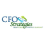CFO Strategies logo