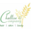 Challise & Company hair