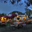 Chambal Safari