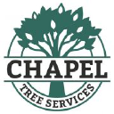chapeltreeservices.co.uk