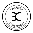 Chapman 3C Cattle