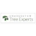 charlestontreeexperts.com