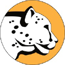 cheetahclean.com