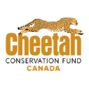 cheetahconservationfund.ca