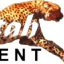 cheetahdevelopment.org