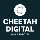 Cheetahdigital logo