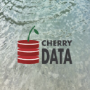 cherry-data.com