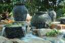 Chester Hollow Water Gardens