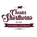 chestershorthorns.com.au