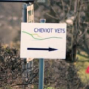 cheviotvets.co.uk