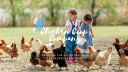 Chicken Coop