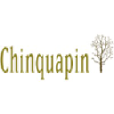 chinquapinnc.com