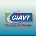 ciavt.com.ar