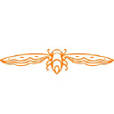 cicada.com.sg