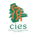cies.org.bo
