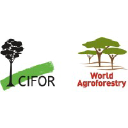 cifor.org