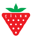 cilek.com