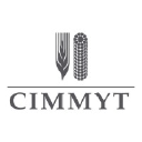 Logo of CIMMYT