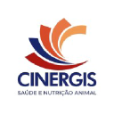cinergis.com.br
