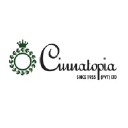 cinnatopia.com
