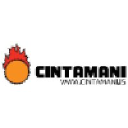 cintamani.is