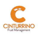 cinturrino.com