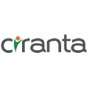 Ciranta IT Services Pvt Ltd