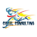 cistel-consulting.com