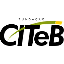citeb.com.br