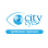 City Eyes Ophthalmic Opticians logo