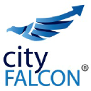 cityfalcon.com
