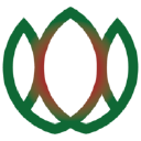 CityLeaf Dispensary Logo