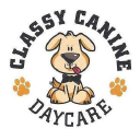 classycaninedaycare.com