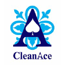 cleanace.com.ng