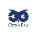 clearlyblue.in