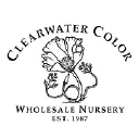Clearwater Color Nursery