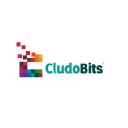 CludoBits IT Solutions Pvt Ltd
