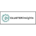 clusterinsights.com