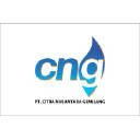 cng.co.id